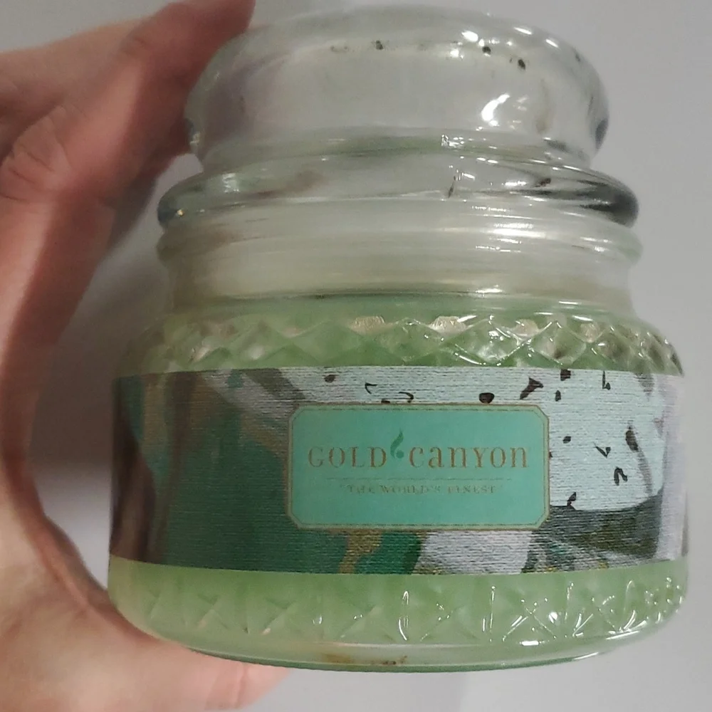 OLD FASHIONED MINT ICE CREAM small/8 oz Gold Canyon‎ two-wick candle